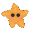 starfish starfish