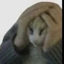 ohnoo