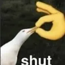 shut