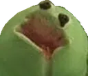 agonyfrog agonyfrog