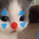 clowncat