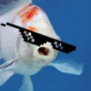 pro_fish