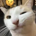 lol
