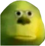 oof