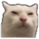suscat