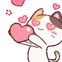 cat4