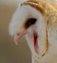 AAAAAAAAAAAAAAAAAAA