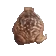 FrogSpin FrogSpin