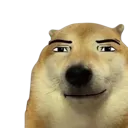 MCdogeroblox MCdogeroblox
