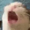 AAAA AAAA