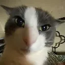 angry