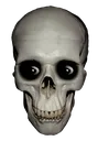 i_skull