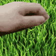 touchgrass