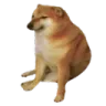 cheems
