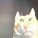 scintstare