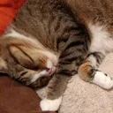 eepy