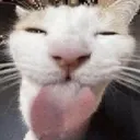 tremendouslysilly