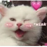 Cat Wink cat_wink Discord Emoji