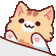 bongo