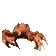 crab_rave