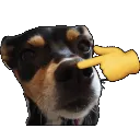 boop
