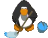 pinguinocleaning