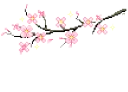 flowerbranch