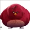 angrybirdbigstyle