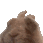 rabbitvibe