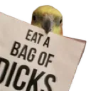 BagofDicks