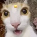 SHOCKED