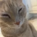 philiphappy
