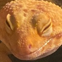 disgust Discord emoji