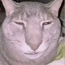 cathuh
