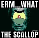 whatthescallop