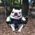 hola hola