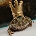 KONIGBOBBY KONIGBOBBY