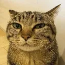 shiteatinggrin
