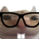 Nerd Cat Nerd_Cat Discord Emoji