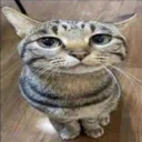 mewhenspearman