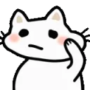 confusedcat confusedcat