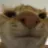 dumbungus