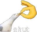 randomgooseshut