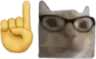 catnerd