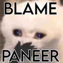 blamepaneer