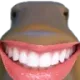 fiscuoi