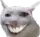 smile_cat Discord Emoji