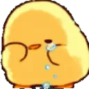 yellow_cry