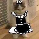 MaidCat MaidCat