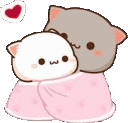 cuddle_cat